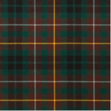 Reiver Light Weight Tartan Fabric - Buchanan Hunting Modern